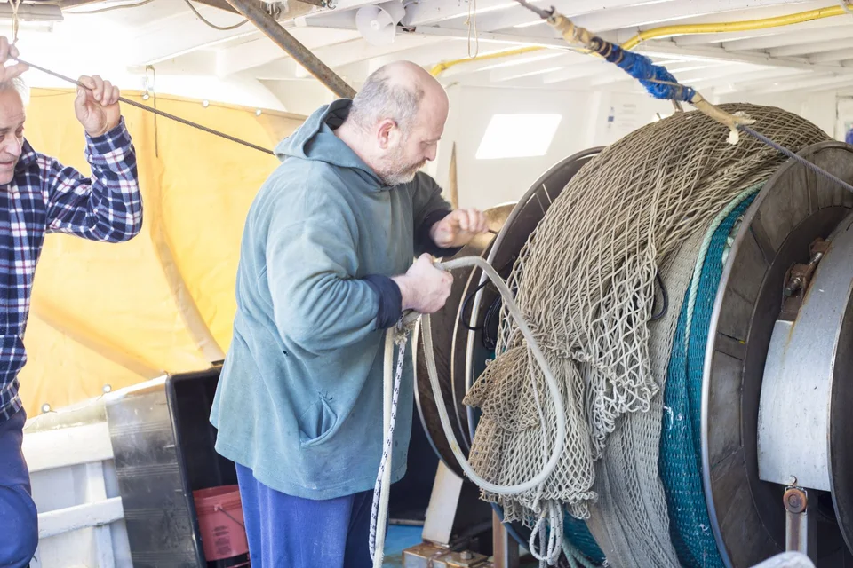 Le reti e il lavoro del porto